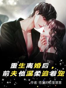 小说前妻离婚无效免费